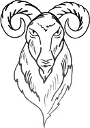Le bouc, emblème d'AKERBELTZ